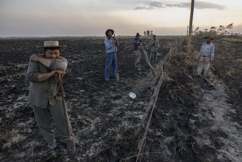 La tragedia de los incendios se extiende en Corrientes