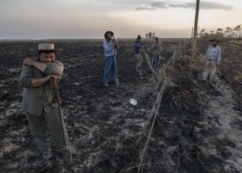 La tragedia de los incendios se extiende en Corrientes