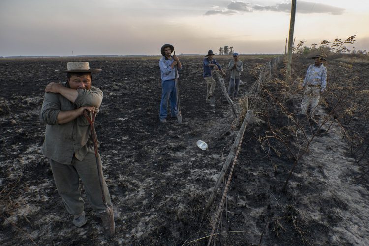 17/02/2022 Incendios en la provincia de Corrientes.
Una escuela rural de la localidad corretina de San Miguel se convirtio desde hace una semana en el centro de operaciones de una fuerza conjunta integrada por organismos nacionales, empresas publicas y equipos especializados de media docena de provincias que lucha contra los incendios forestales que ya consumieron m'as de medio millon de hectareas en el norte de la provincia de Corrientes y que comienzan a avanzar sobre el sur de Misiones.
Trabajadorres rurales reparan m'as de 8.500 mts de alambrados y postes afectados por el fuego.