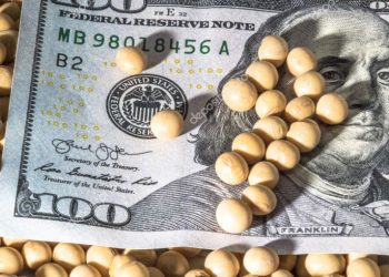 Tras el conflicto entre Rusia y Ucrania, el precio de la soja superó los U$S 600 en Chicago