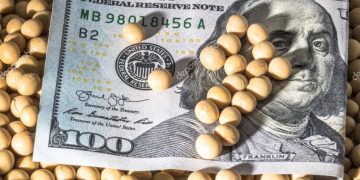 Tras el conflicto entre Rusia y Ucrania, el precio de la soja superó los U$S 600 en Chicago