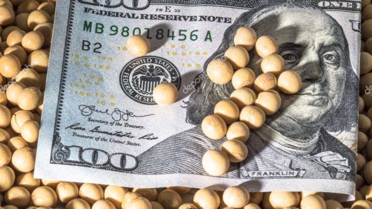 Tras el conflicto entre Rusia y Ucrania, el precio de la soja superó los U$S 600 en Chicago