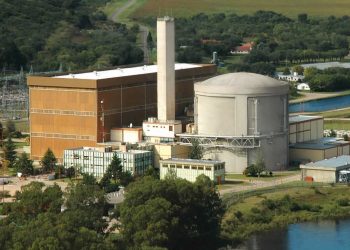 La Justicia investiga un supervisor de la central Nuclear por tener pornografía infantil en su computadora