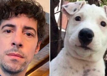 Lamothe revolucionó las redes al encontrar a un perro que se parece a él: “Busco a mí yo perro”