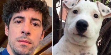 Lamothe revolucionó las redes al encontrar a un perro que se parece a él: “Busco a mí yo perro”