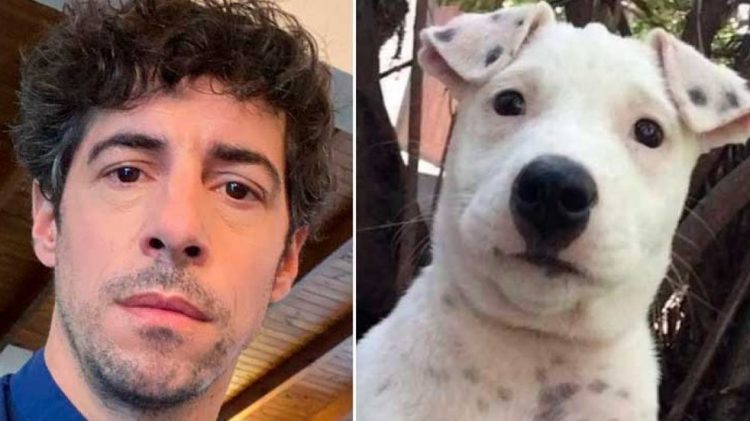 Lamothe revolucionó las redes al encontrar a un perro que se parece a él: “Busco a mí yo perro”