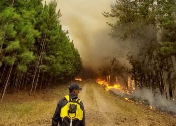 Bomberos y un avión hidrante de Córdoba acudirán a Misiones para combatir el fuego