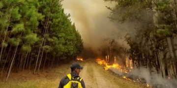 Bomberos y un avión hidrante de Córdoba acudirán a Misiones para combatir el fuego