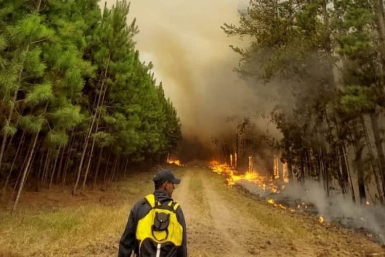 Bomberos y un avión hidrante de Córdoba acudirán a Misiones para combatir el fuego