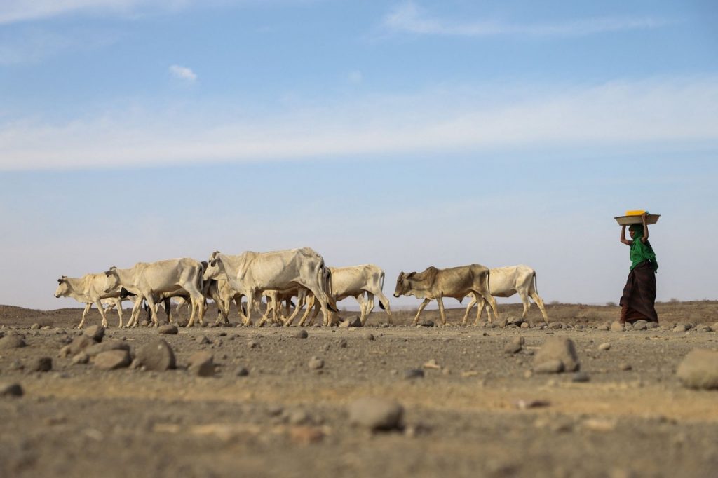 El hambre extremo amenaza a 13 millones de personas en el Cuerno de África