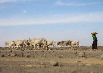 El hambre extremo amenaza a 13 millones de personas en el Cuerno de África