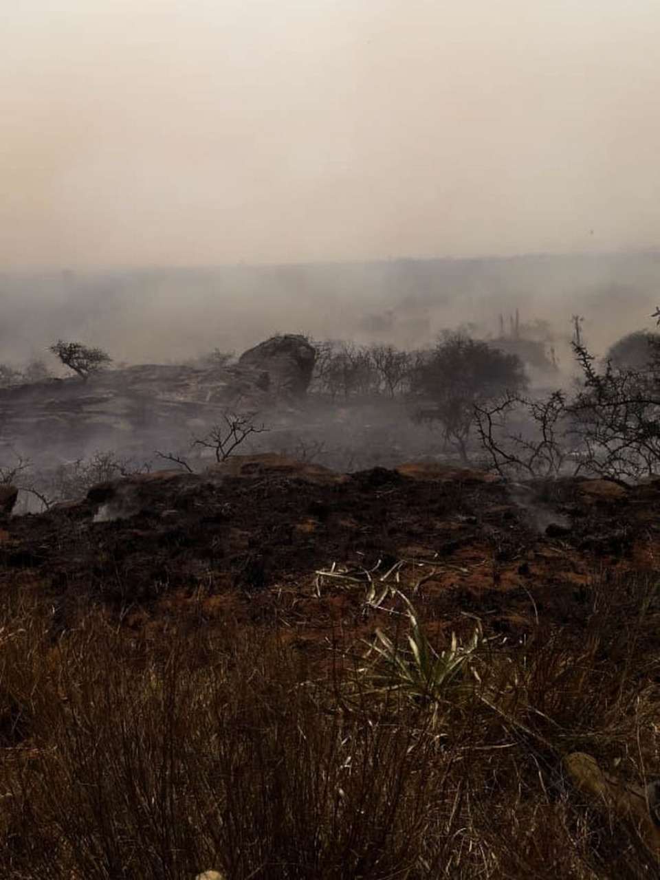 Autogestión comunitaria contra los incendios en las sierras