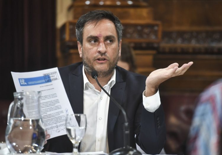Cabandié expuso ante el Senado por los incendios en Corrientes