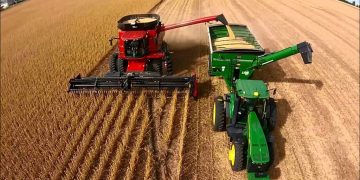 En 2021, el campo aportó casi una cuarta parte de los tributos