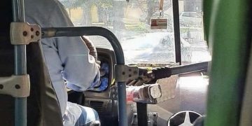 Un chofer se viralizó por llevar colgado en el parabrisas del colectivo un juguete sexual