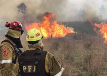 Fiscales investigan 75 denuncias penales por incendios intencionales