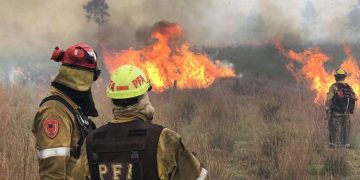Fiscales investigan 75 denuncias penales por incendios intencionales