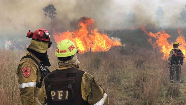 Fiscales investigan 75 denuncias penales por incendios intencionales
