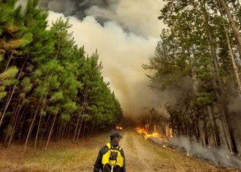 Los incendios en Corrientes no dan tregua: focos llegaron al ingreso de los Esteros del Iberá