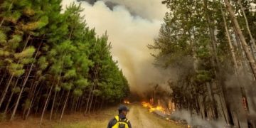 Los incendios en Corrientes no dan tregua: focos llegaron al ingreso de los Esteros del Iberá