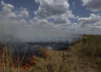 La Conae determinó que 680.000 hectáreas fueron arrasadas por el fuego en Corrientes