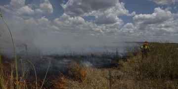 La Conae determinó que 680.000 hectáreas fueron arrasadas por el fuego en Corrientes