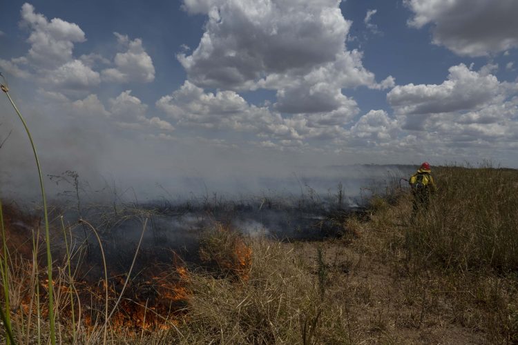 La Conae determinó que 680.000 hectáreas fueron arrasadas por el fuego en Corrientes