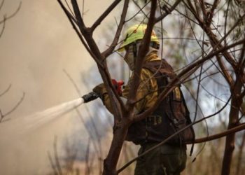 Reportan la presencia de ocho focos de incendios activos en Corrientes y seis en Misiones