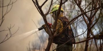 Reportan la presencia de ocho focos de incendios activos en Corrientes y seis en Misiones