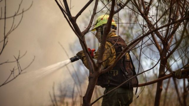 Reportan la presencia de ocho focos de incendios activos en Corrientes y seis en Misiones