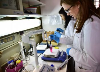 Se confirmaron 2006 casos nuevos y siete fallecimientos