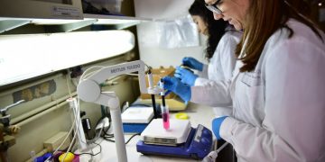 Se confirmaron 2006 casos nuevos y siete fallecimientos