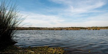 Debemos mantener la salud ecológica de los Humedales
