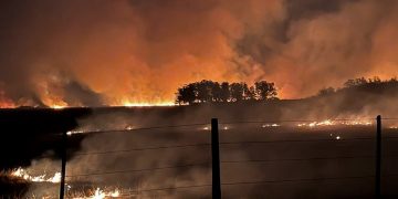 Corrientes fue declarada zona de catástrofe ecológica y ambiental