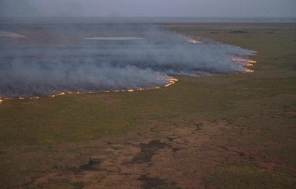 Ya son más de medio millón las hectáreas consumidas por el fuego en el norte de Corrientes