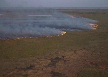 Ya son más de medio millón las hectáreas consumidas por el fuego en el norte de Corrientes
