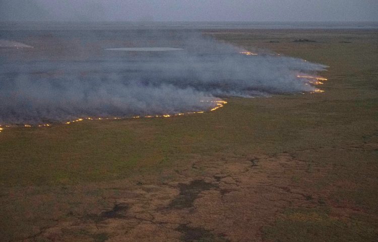 Ya son más de medio millón las hectáreas consumidas por el fuego en el norte de Corrientes