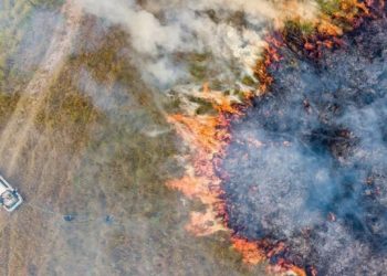 El Parque Nacional Iberá, afectado por los incendios