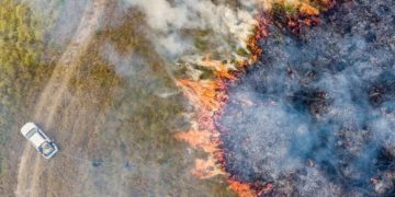 El Parque Nacional Iberá, afectado por los incendios