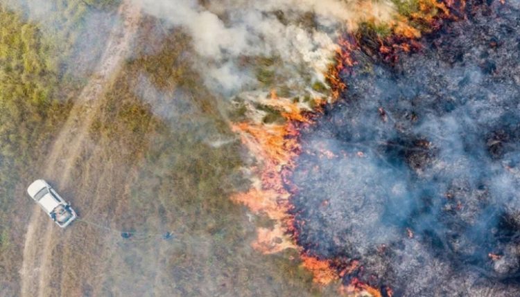 El Parque Nacional Iberá, afectado por los incendios