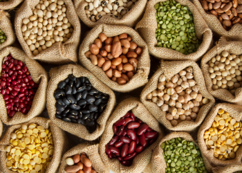 Día Mundial de las Legumbres: ¿Por qué se celebra y de qué forma benefician la salud?