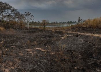 Llegó la lluvia a Corrientes y los incendios se redujeron en un 30%