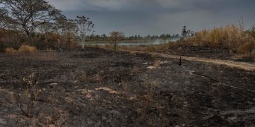 Llegó la lluvia a Corrientes y los incendios se redujeron en un 30%