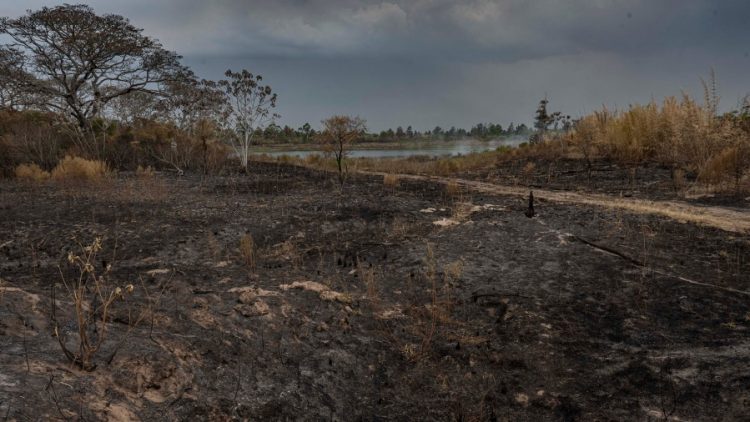 Llegó la lluvia a Corrientes y los incendios se redujeron en un 30%