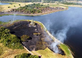 Un satélite de la Unión Europea reportó más de 300.000 hectáreas quemadas en Corrientes