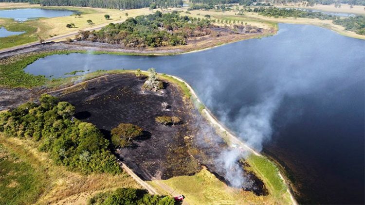 Un satélite de la Unión Europea reportó más de 300.000 hectáreas quemadas en Corrientes
