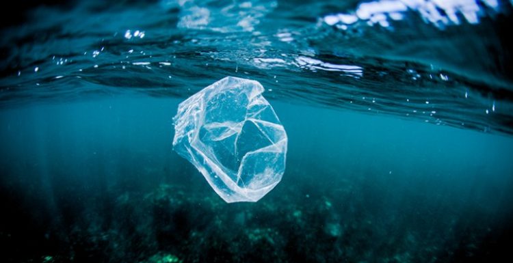 El plástico ya invadió por completo los océanos y amenaza la biodiversidad