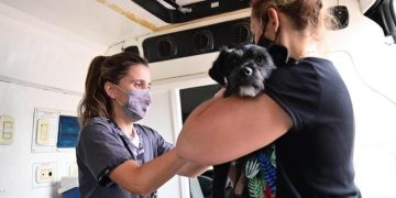 Continúa la vacunación gratuita contra la rabia para perros y gatos