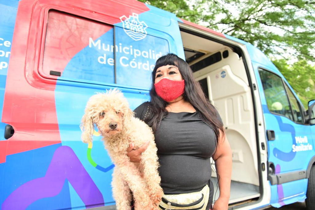 Continúa la vacunación gratuita contra la rabia para perros y gatos