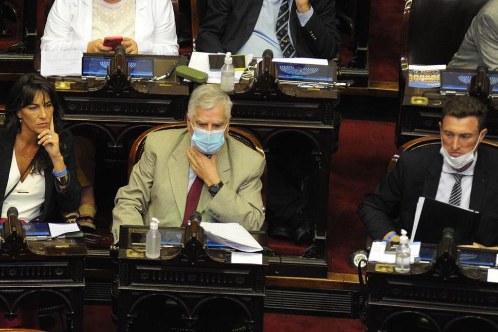 Limia detalló las asimetrías en el reparto de subsidios